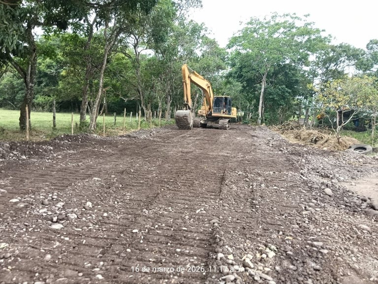 Yellow excavator clearing land in a rural forest area with trees and rocky soil